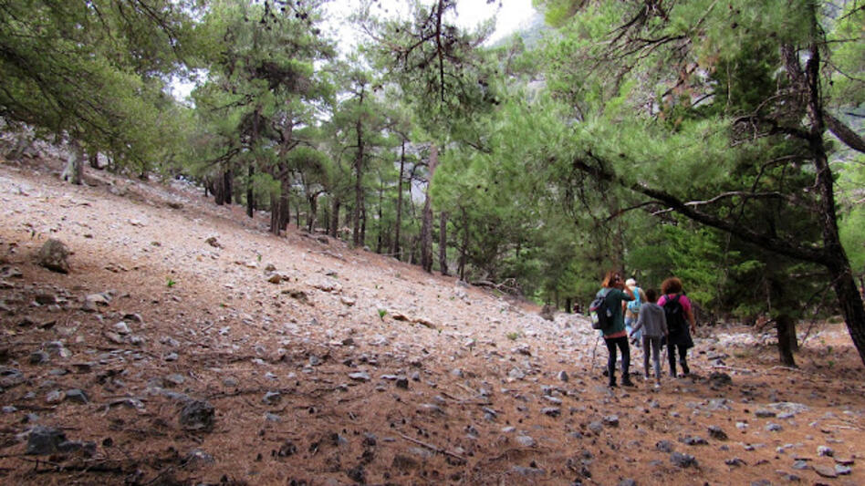 Κυκλική πεζοπορία στα νοτιοδυτικά του Λασιθίου διοργανώνει ο Ορειβατικός Σύλλογος Αγίου Νικολάου