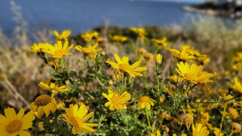 Ανοιξιάτικος ο καιρός την Μ. Παρασκευή: Πόσο έδειξε το θερμόμετρο στην Κρήτη