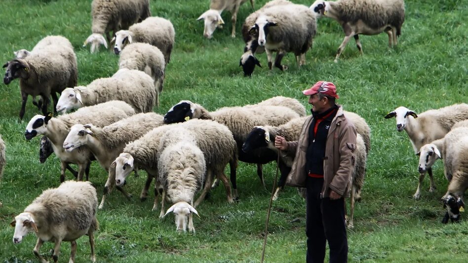 Και η κτηνοτροφία θέλει τον στρατηγικό σχεδιασμό της - Στόχος το αρνί ΠΟΠ στην Κρήτη 