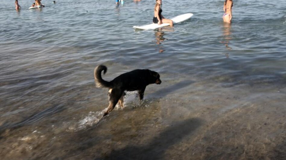 Γιατί οι καύσωνες δεν έχουν όνομα όπως οι καταιγίδες;