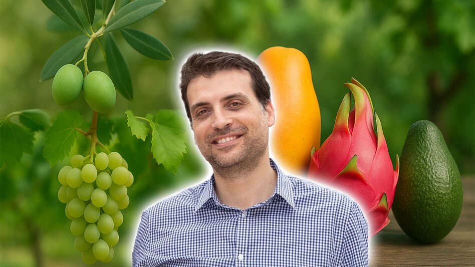 Από την ελιά στο ... μάνγκο; Ο πρωτογενής τομέας της Κρήτης στην εποχή της Κλιματικής Αλλαγής