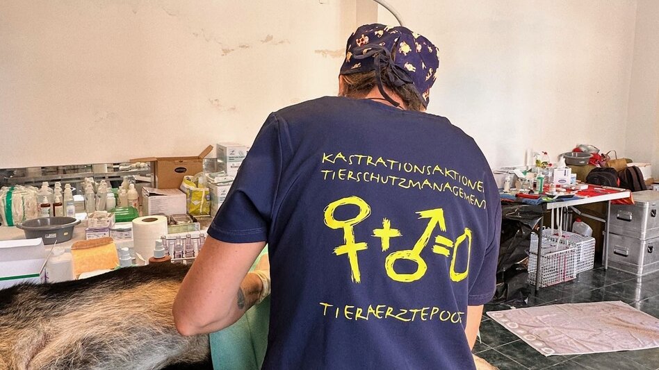 Νέα τριήμερη δράση δωρεάν στειρώσεων ζώων συντροφιάς στο Δήμο Μαλεβιζίου