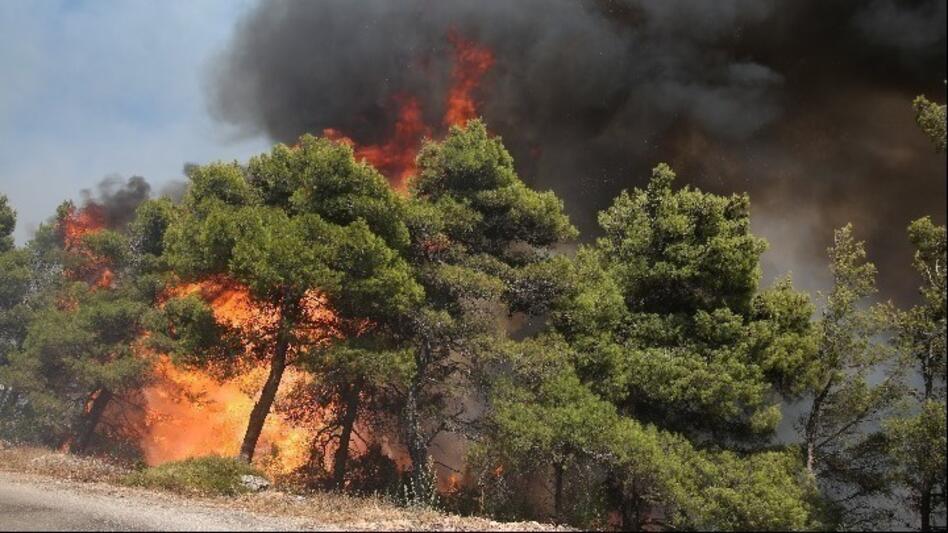 ΠΟΓΕΔΥ: Κράτος και περιφέρειες σε οργανωτική σύγχυση, γεωτεχνικοί σε κίνδυνο και ο πρωτογενής τομέας σε αβεβαιότητα