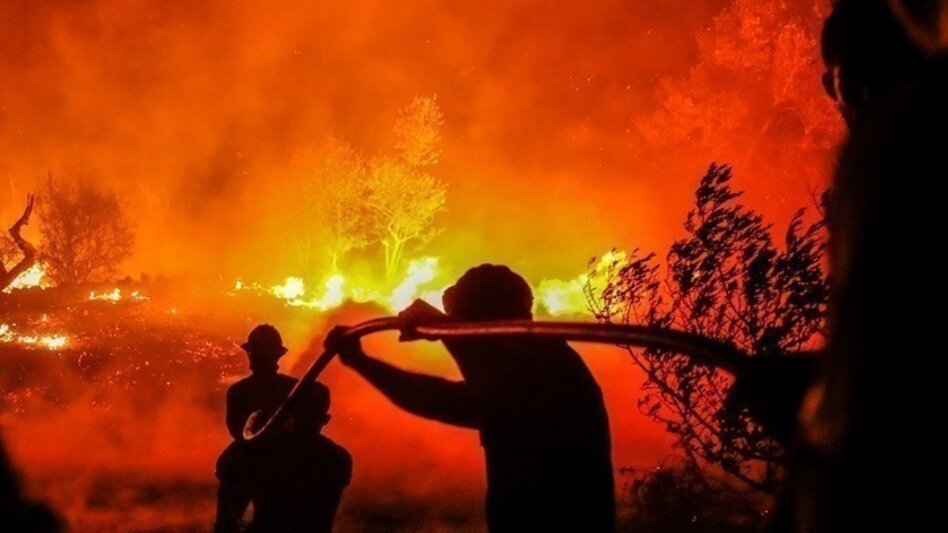 Ανδαλουσία: 12 νεκροί από μεγάλη δασική φωτιά