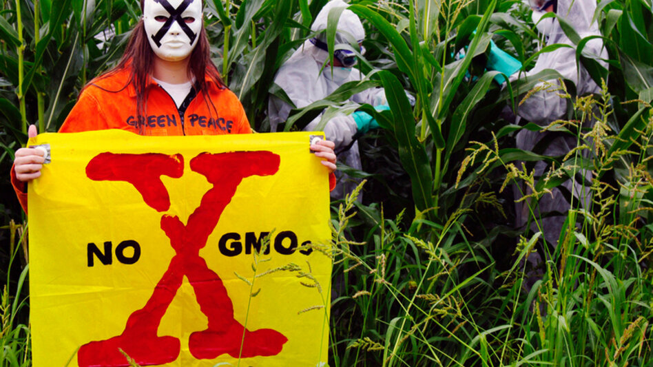 Greenpeace: Γενετικά Τροποποιημένα Φυτά έρχονται στο πιάτο μας!