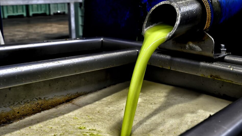 Ελαιόλαδο: Τον... σταυρό τους κάνουν οι παραγωγοί με τη φετινή κακή χρονιά - Ελπίζουν σε ένα θαύμα!