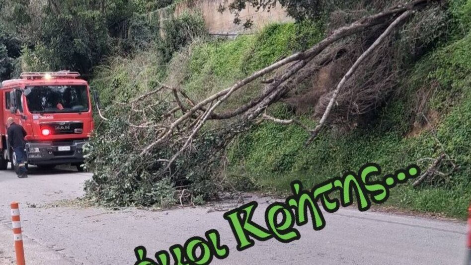 Χαρουπιά "έκοψε" τον δρόμο στα Χανιά