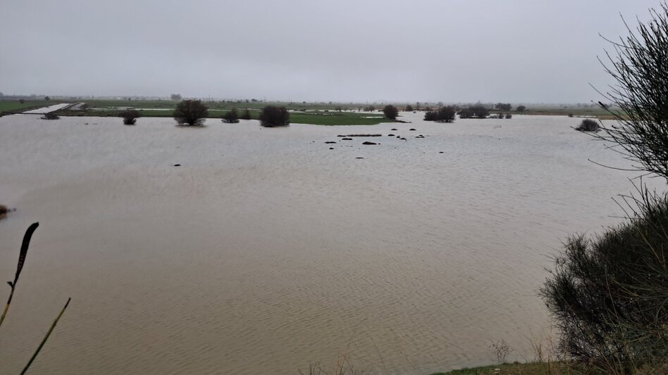 Καταρρακτώδεις βροχές στο Οροπέδιο - «Ανάσα» σε καλλιέργειες και Αποσελέμη (βίντεο)