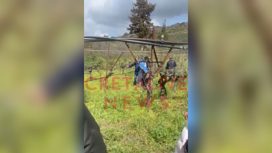 Ηράκλειο: Μεγάλη η καταστροφή στους αμπελώνες από το χαλάζι - Τί έδειξε η αυτοψία του ΕΛΓΑ- Βίντεο και φωτογραφίες