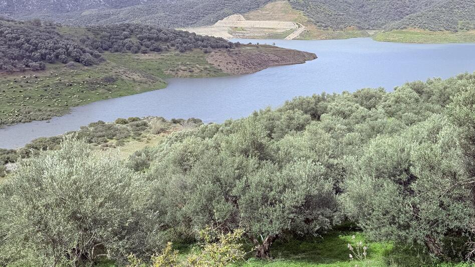Ηράκλειο: «Σιγή ασυρμάτου» για το φράγμα Ασιτών-Πρινιά που έχει μείνει στα «χαρτιά» εδώ και πάνω από 30 χρόνια 