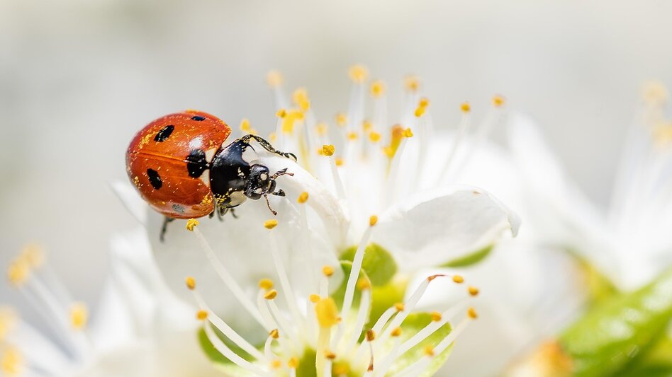 Με λιακάδα η Μεγάλη Τρίτη στην Κρήτη – Πώς θα κυλήσει ο καιρός μέχρι το Πάσχα