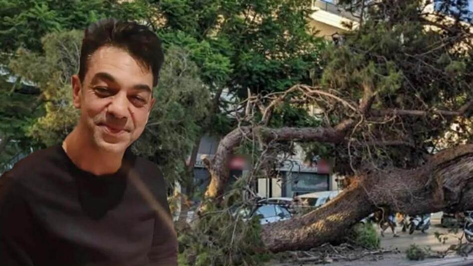 Δίκη φονικού πεύκου: «Δεν θα παίζουν με τα παιδιά μου και την ψυχική μας υγεία»