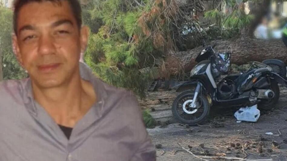 Φονικό πεύκο: νέα αναβολή για τον προσεχή Οκτώβριο λόγω ωραρίου
