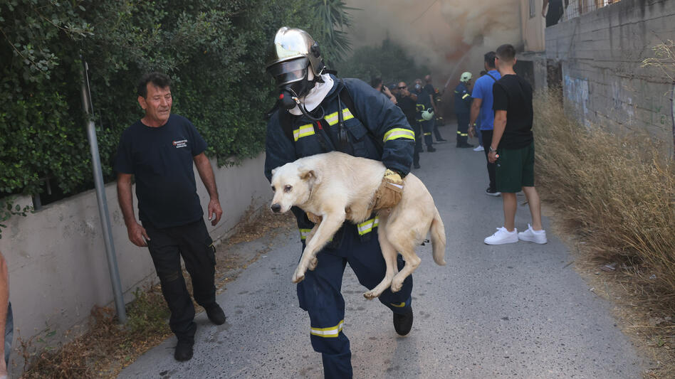 Μεγάλη φωτιά στο Ηράκλειο: Τα συγκλονιστικά ενσταντανέ - Βίντεο και φωτογραφίες