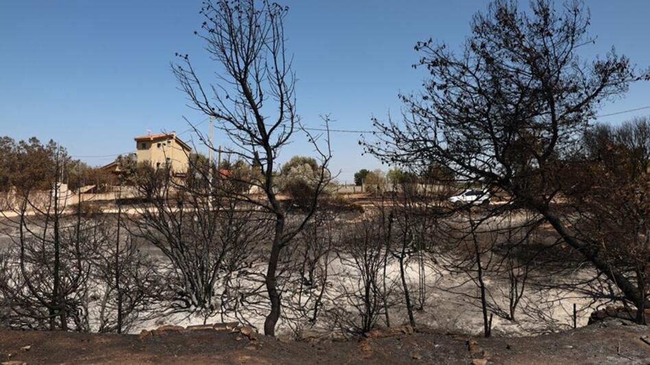 Πάνω από 67 εκατ. ευρώ για την αποκατάσταση πληγεισών αγροτικών εκμεταλλεύσεων από πυρκαγιές και πλημμύρες