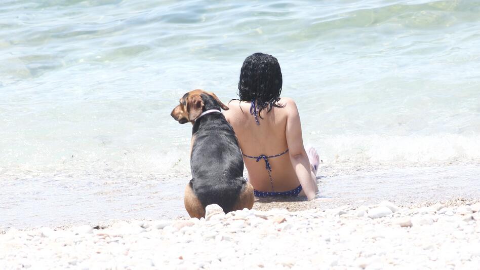 Έρχεται νέο κύμα ζέστης - Έως 38°C ο υδράργυρος στην Κρήτη, 39°C στα ηπειρωτικά