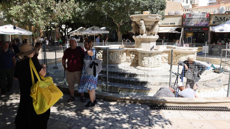 Συντήρηση στα Λιοντάρια: μέχρι τον Οκτώβρη η πρώτη φάση του έργου!