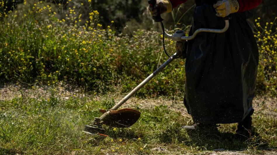 Ακαθάριστα οικόπεδα: Τι ισχύει με τα οικόπεδα εκτός σχεδίου - Ποιοι εξαιρούνται