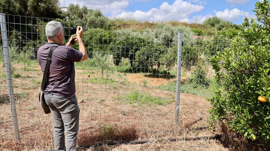 Σταυρούλα Λεβεντάκη: Μάλωσαν στο σπίτι, τη μαχαίρωσε και έθαψε το πτώμα στο λιόφυτό του - Δείτε εικόνες