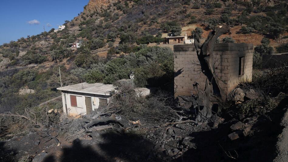 Φωτιά - Δήμος Αγίου Βασιλείου: Πρόσκληση προς τις πληγείσες επιχειρήσεις για δήλωση ζημιών