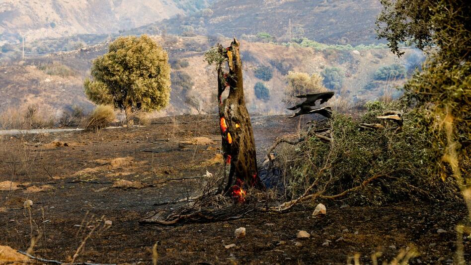 Πύρινη κόλαση στο νότιο Ρέθυμνο: Σοβαρές ζημιές σε σπίτια και περιουσίες - Τί είπε στο Cretalive ο Δήμαρχος Αγίου Βασιλείου Γιάννης Ταταράκης