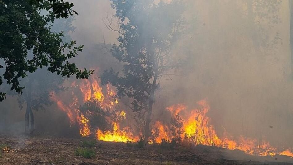 Πύρινος εφιάλτης στη Γαλλία: Ο Μακρόν υπόσχεται ανοικοδόμηση μετά τις καταστροφικές φωτιές