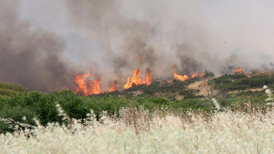 Ιεράπετρα: Μεγάλη κινητοποίηση της Πυροσβεστικής για φωτιά κοντά στο Φράγμα Μπραμιανών