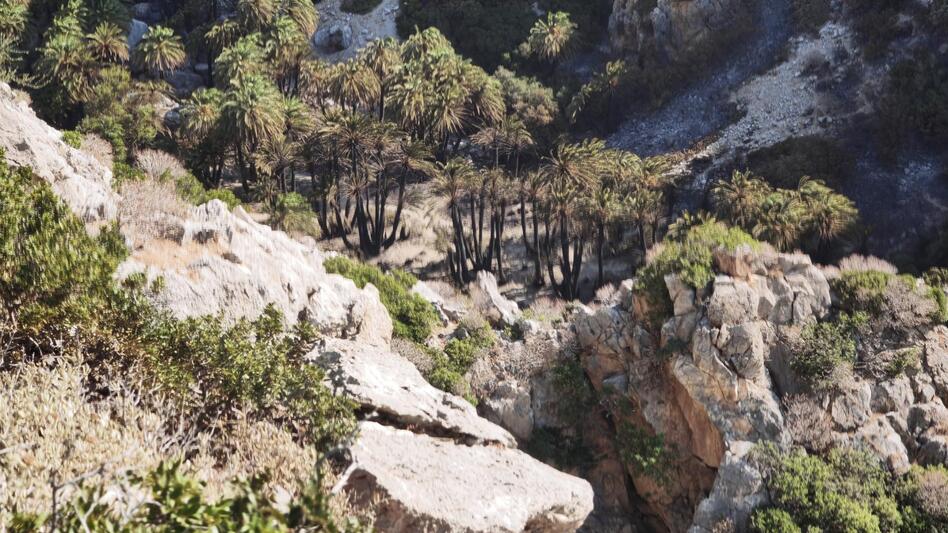 Τρίτη νύχτα αγωνίας στο νότιο Ρέθυμνο - Σε εξέλιξη η φωτιά που αναζωπυρώθηκε