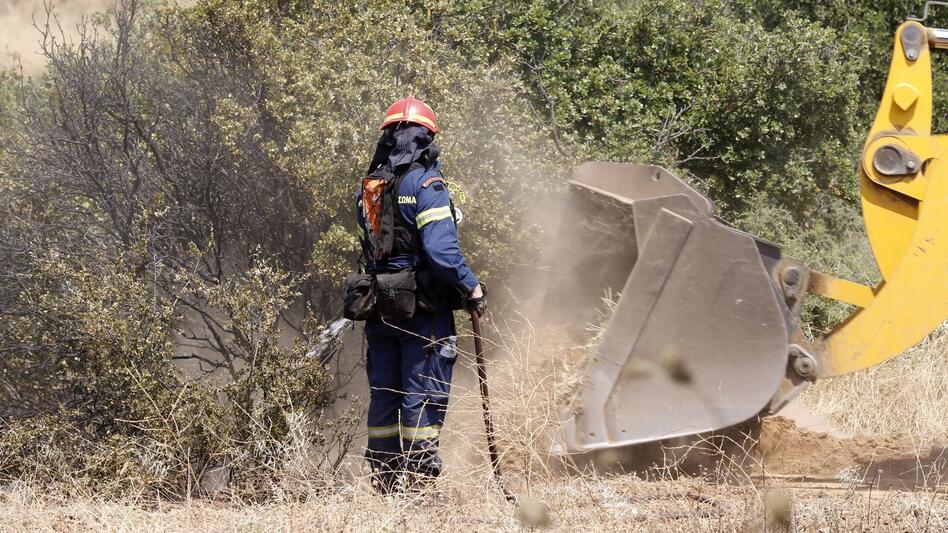 Ακαθάριστα οικόπεδα: Σαρωτικοί έλεγχοι και πρόστιμα