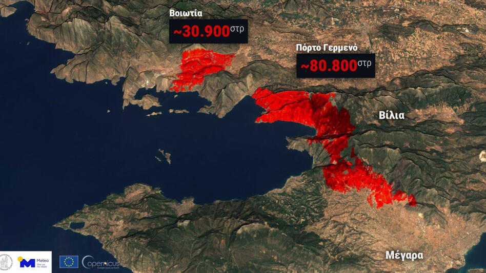Στα 111.000 στρέμματα η καμένη έκταση από τις πυρκαγιές σε Βοιωτία και Αττική - Δορυφορική εικόνα