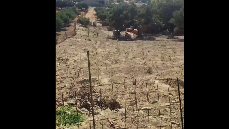 Ηράκλειο: Θύμα ζωοκλοπής ο Μίχαλος Σκουλάς - «Υπάρχει υλικό από κάμερα ασφαλείας»
