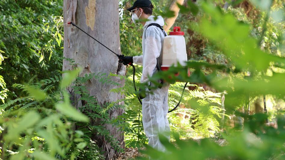 Ιός Δυτικού Νείλου στο Ρέθυμνο: Παραμένει στη ΜΕΘ η 62χρονη, επιπλέον ψεκασμοί στο χωριό της