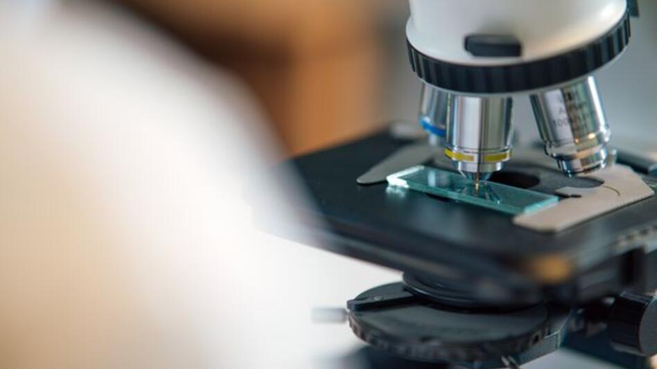 Παγκόσμιος χάρτης ιών RNA: Ερευνητές εντόπισαν 60 που μπορεί να μολύνουν ανθρώπους