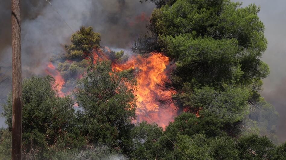 Δραματικές ώρες στη Δυτική Αττική - Μαίνεται ανεξέλεγκτη η πυρκαγιά, οι φλόγες καίνε κοντά σε σπίτια στην Αγία Σκέπη