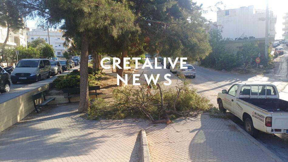 Ηράκλειο: Μεγάλο τμήμα δέντρου έπεσε κοντά σε χώρο όπου παίζουν μικρά παιδιά! (ΦΩΤΟ)
