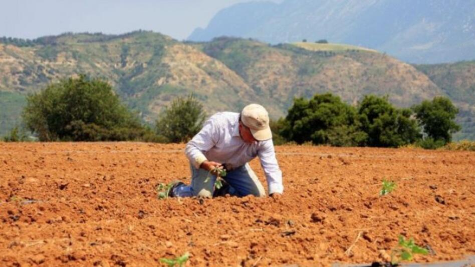 Νέο επενδυτικό πλαίσιο για ανταγωνιστική και βιώσιμη γεωργία