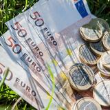ΟΠΕΚΕΠΕ: Η Ευρωπαϊκή Εισαγγελία για τις 57 καταδίκες για δηλωμένες εκτάσεις στην Καστοριά και έδρα την Κρήτη