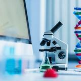 Μετακινήσεις πληθυσμών 10.000 χρόνια πριν: τι ανακάλυψαν επιστήμονες από την Κρήτη!