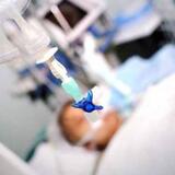 Κρήτη: Αγωνία για το 4χρονο αγόρι που δέχθηκε επίθεση από σκύλο 