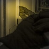 Χανιά: Προσπάθεια διάρρηξης της εβραϊκής συναγωγής