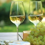 Έρχεται ο 15ος διαγωνισμός Σπιτικού Οίνου 