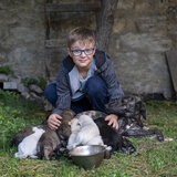 «Πάγωσε» ο μικρός Φίλιππος όταν είδε κουτάβια πεταμένα σε ρεματιά