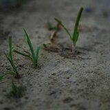 Ανομβρία και με τη... βούλα-Δεν είναι διαπίστωση, είναι ζοφερή πραγματικότητα!