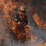 Ένωση Πυροσβεστικού Σώματος Περιφέρειας Κρήτης: «Δεν είμαστε πράσινες κουκίδες, δεν είμαστε αριθμοί» 