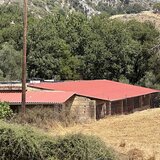 Μαρτύρησε ο 69χρονος κτηνοτρόφος! Πώς του έκοψε ο δράστης τη γλώσσα!