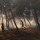 Μεγάλη η φωτιά στην Κίσσαμο - Στη μάχη με τις φλόγες ισχυρές πυροσβεστικές δυνάμεις