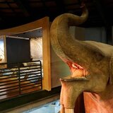 Ηράκλειο: Όταν ο Εγκέλαδος συναντά… έναν δεινόσαυρο!