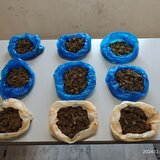 Σχεδόν 1 κιλό κάνναβης στα χέρια 21χρονου