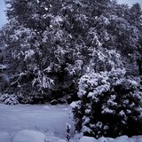 Χιονοπτώσεις στα ορεινά και βροχές τις επόμενες ώρες στην Κρήτη