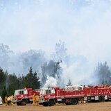 Απόπειρα εμπρησμού σε συναγωγή της Μελβούρνης